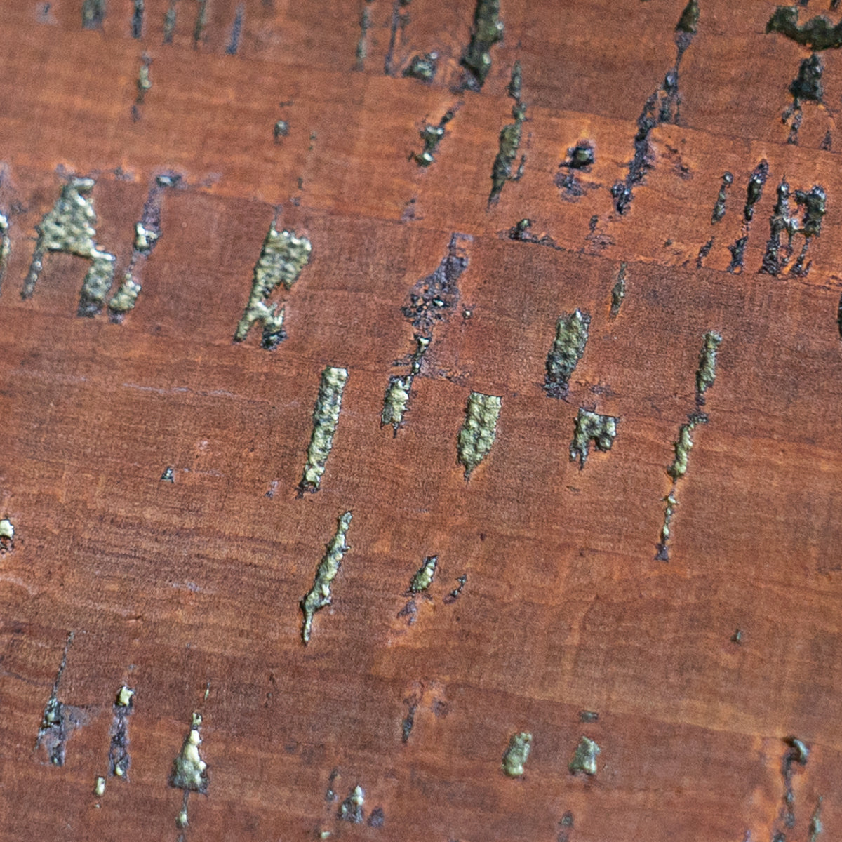Brown Portuguese cork fabric rustic COF-464